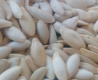 تخمه کدو مشهدی خوی