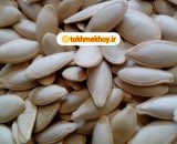تخمه کدو مشهدی درجه یک خوی