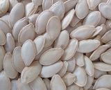 تخمه کدو گوشتی آجیلی خوی