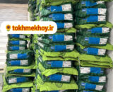 بذر هیبرید ذرت علوفه ای مای هیدو